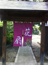花扇