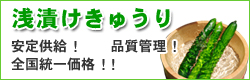 アトラスプランニングの浅漬けきゅうり