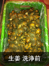 生姜貯蔵庫